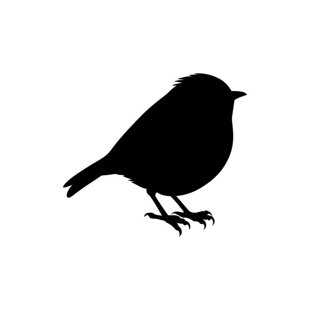 Vector de pájaros en tablero blanco