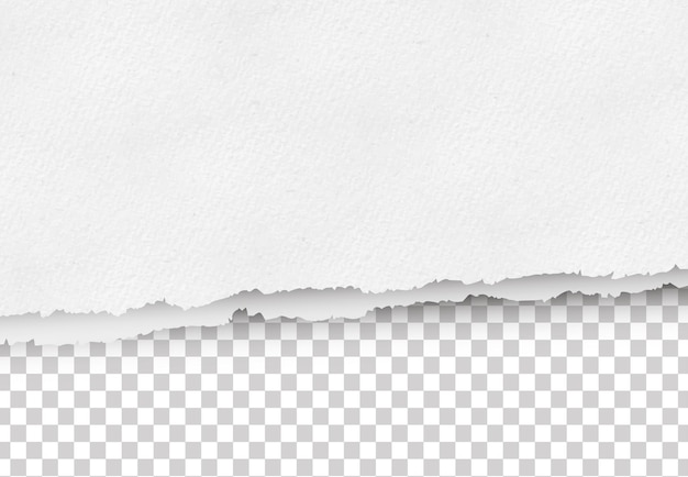 Vector de papel rasgado sobre fondo transparente