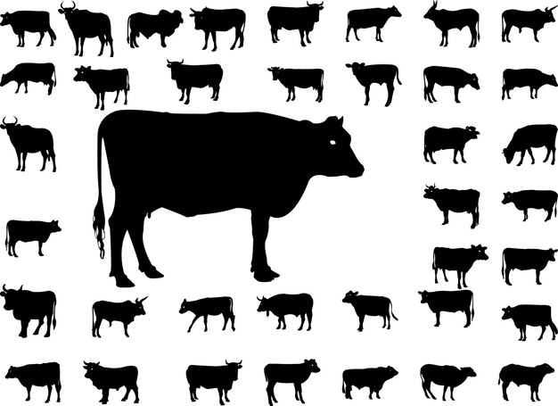 Vector de paquete de silueta de vaca