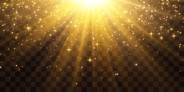 Vector de partículas voladoras de luz que brillan en el fondo pngd