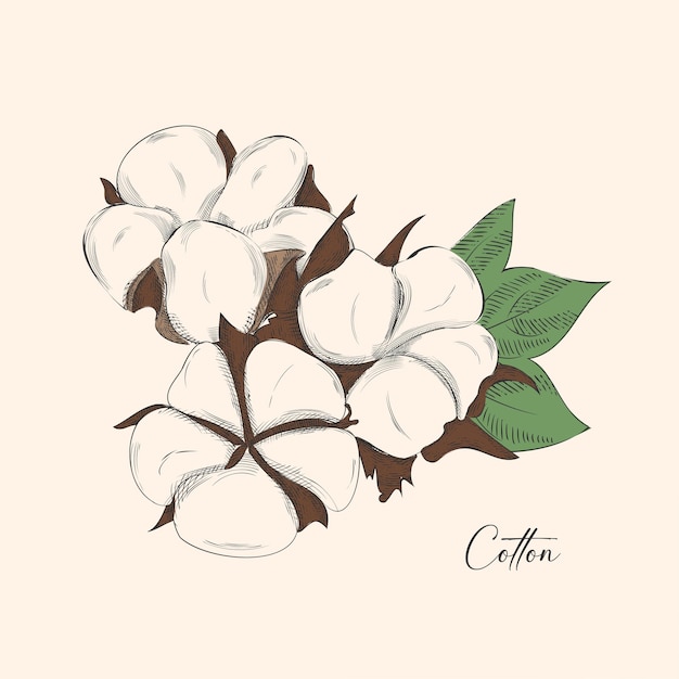 Vector de patrón dibujado a mano con trazos de algodón de inspiración vintage eps