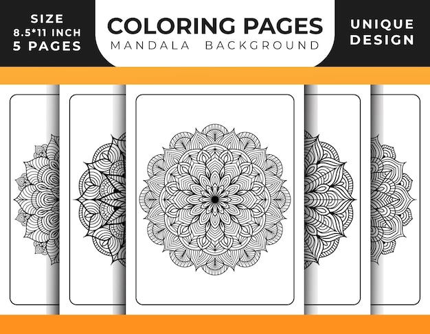 Vector de patrón floral de mandala y fondo de mandala de páginas para colorear para el interior de kdp