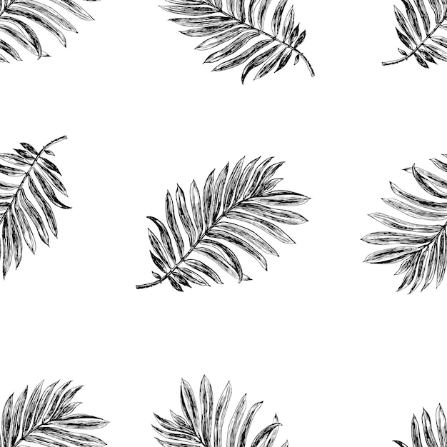 Vector de patrones sin fisuras en blanco y negro gráfico tropical