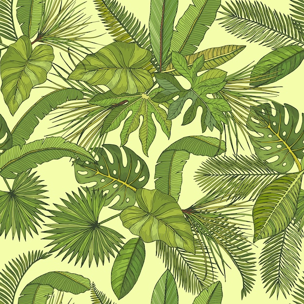 Vector de patrones sin fisuras con hojas tropicales. Hoja verde de ilustración de palmera.