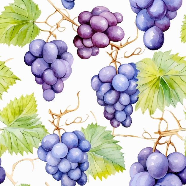 Vector de patrones sin fisuras de uvas