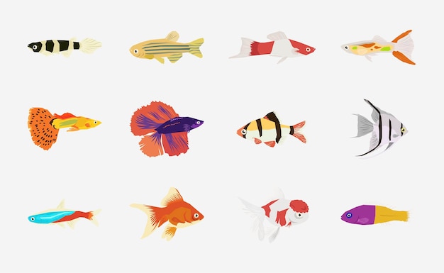 Vector de peces de acuario en diseño plano