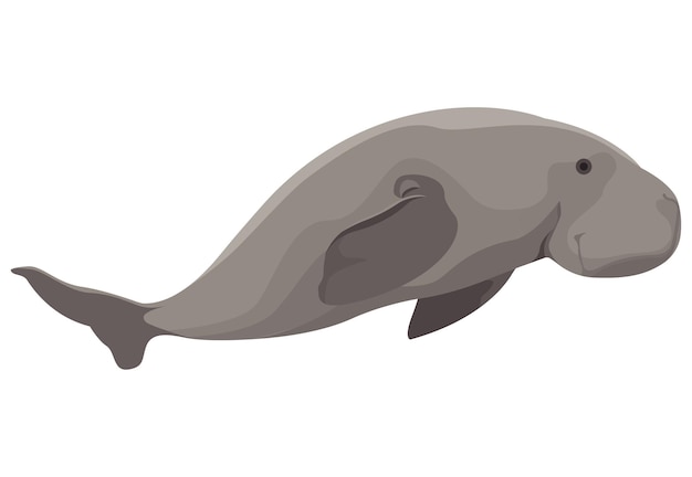 Vector de peces Dugong