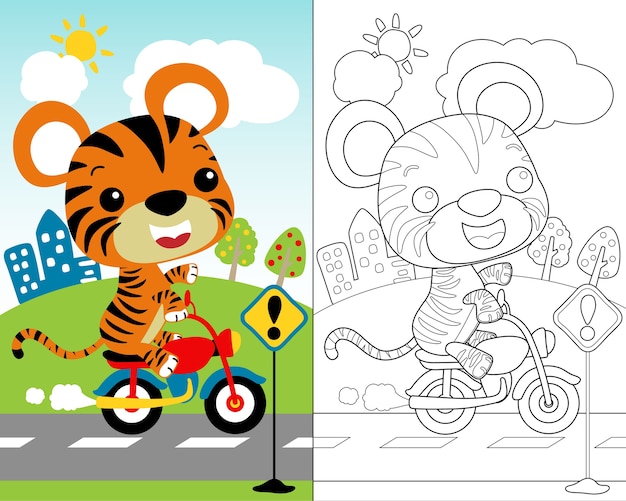 Vector de la pequeña historieta del tigre en la moto, libro de colorear.