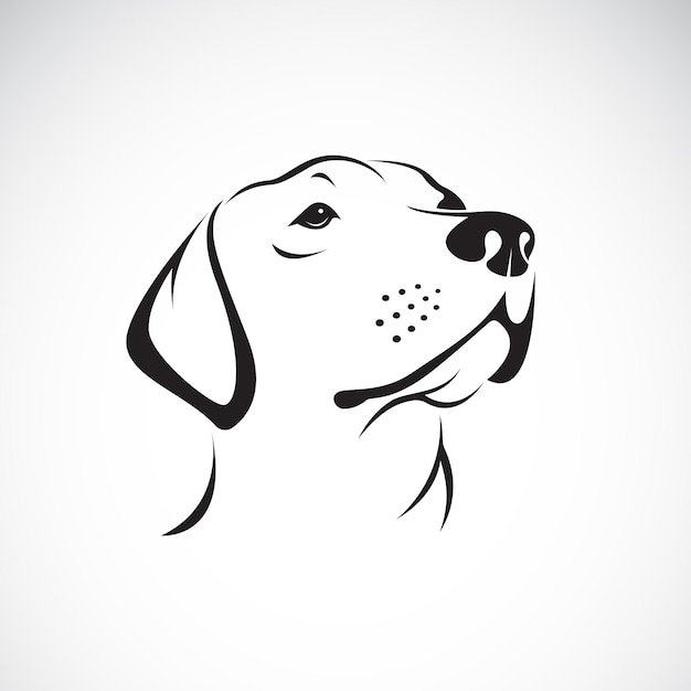 Vector de un perro headLabrador Retriever sobre fondo blanco Animales de compañía