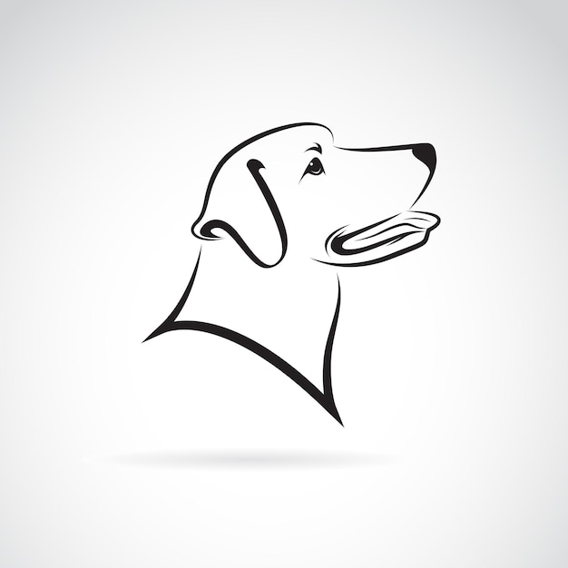 Vector vector de un perro labrador sobre fondo blanco ilustración vectorial en capas fácil de editar