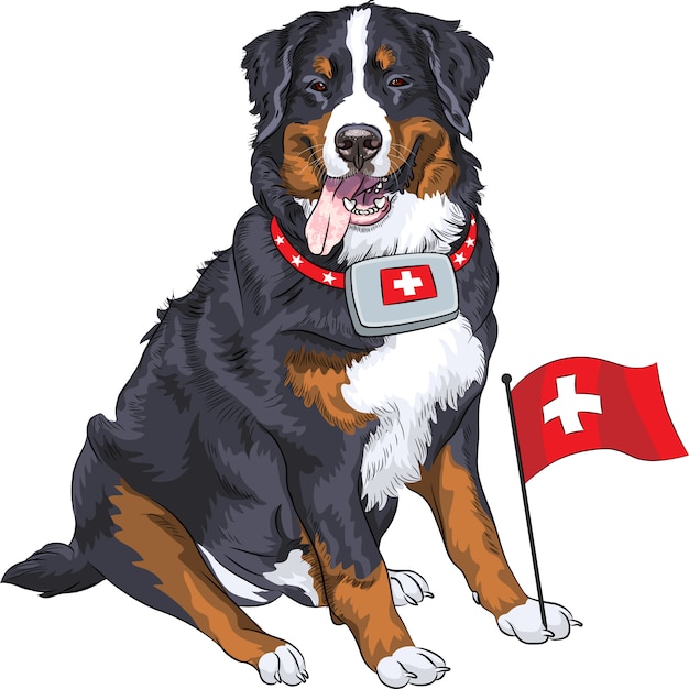 Vector perro raza bernese mountain dog sonriendo
