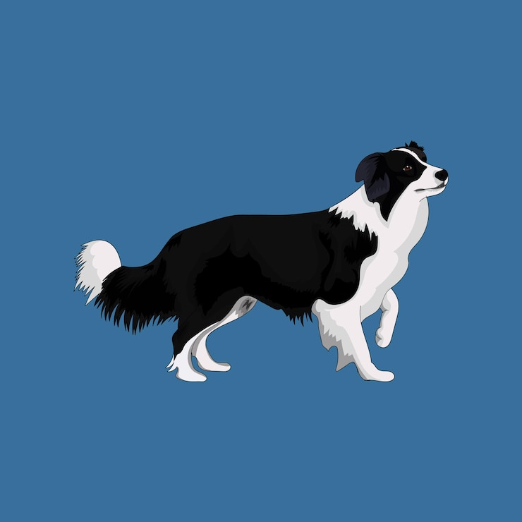 Vector vector de perro sobre fondo blanco