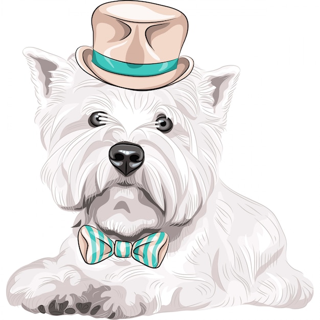 Vector perro West Highland White Terrier raza en sombrero y corbata de moño