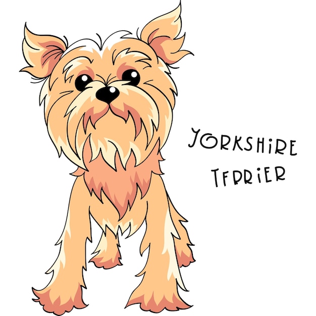 Vector perro yorkshire terrier