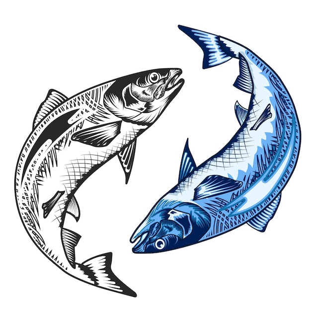 Vector de pesca de salto