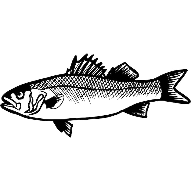 Vector de pescado bajo bosquejado a mano