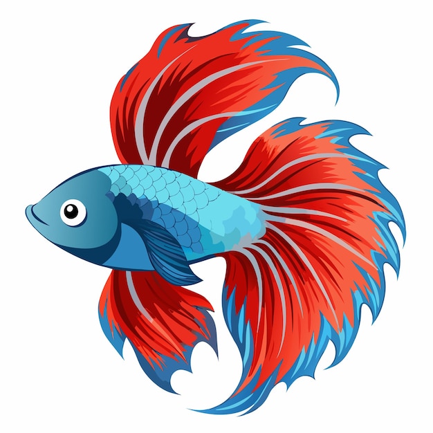 Vector de pez luchador de Betta siamés aislado en fondo blanco Ilustración del vector