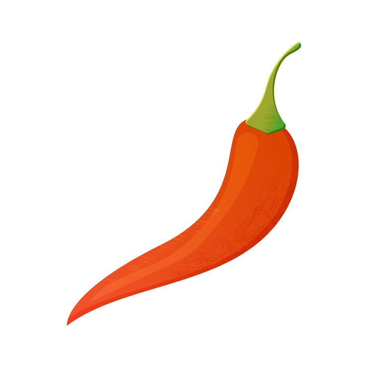 Vector vector de pimienta de chile roja