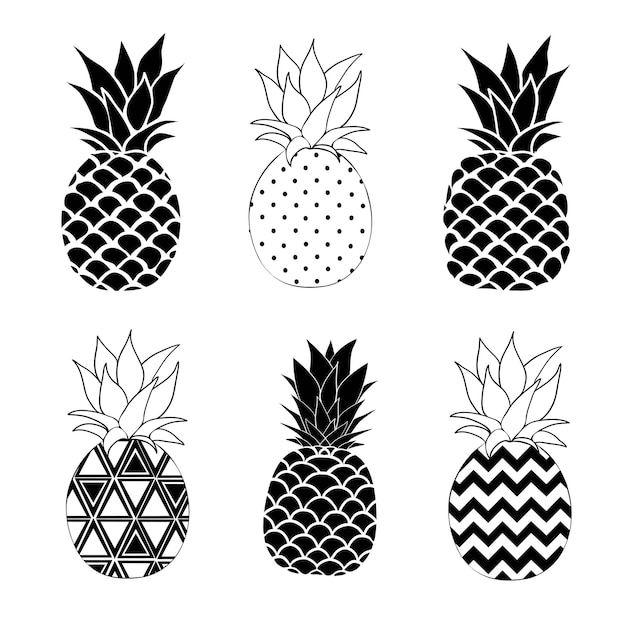 Vector de piña en blanco y negro tres contornos diferentes ilustración vectorial