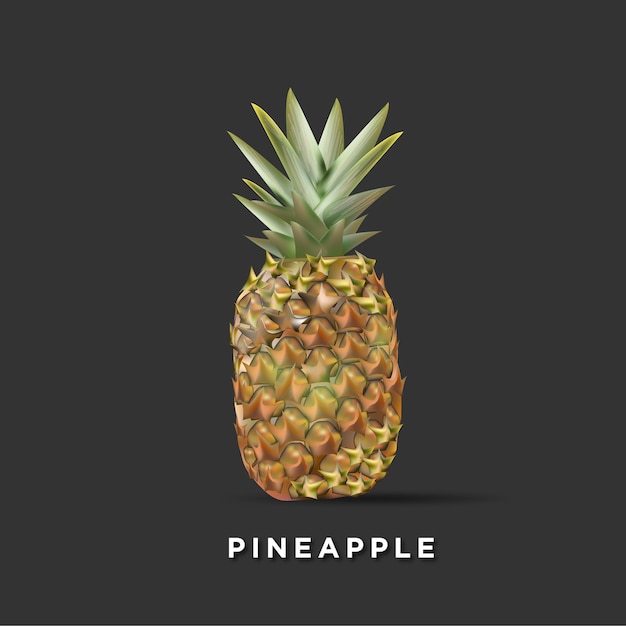 Vector vector de piña con fondo aislado