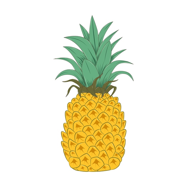 Vector vector de piña fresca