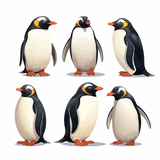 Vector vector de pingüino muy bonito