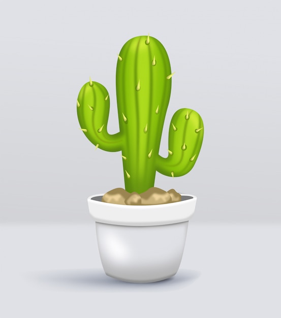 Vector de planta de cactus en maceta ramificada