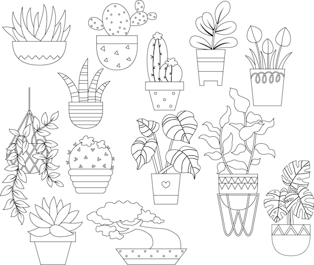 un vector de planta en colores blanco y negro