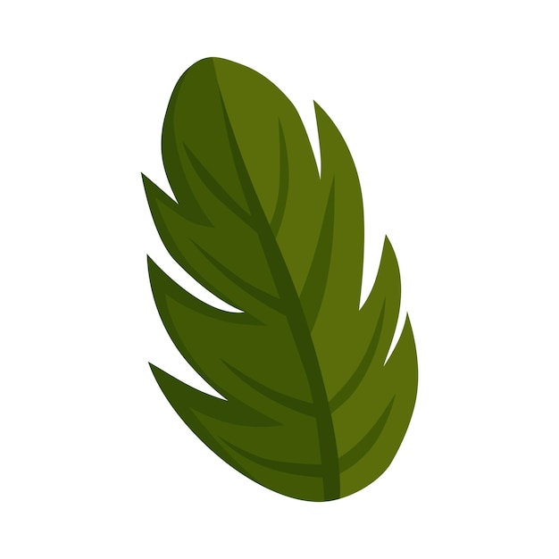 vector planta de hojas exóticas jungla icono aislado