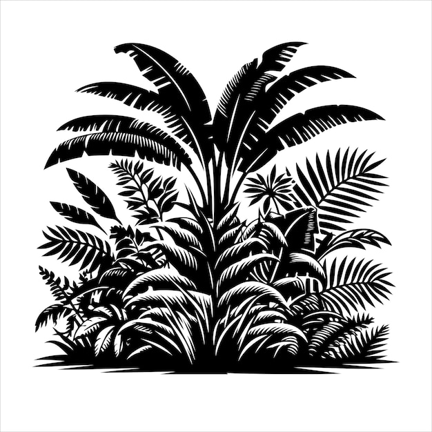 Vector de plantas de la selva Vector de siluetas de plantas interiores o árboles de interior