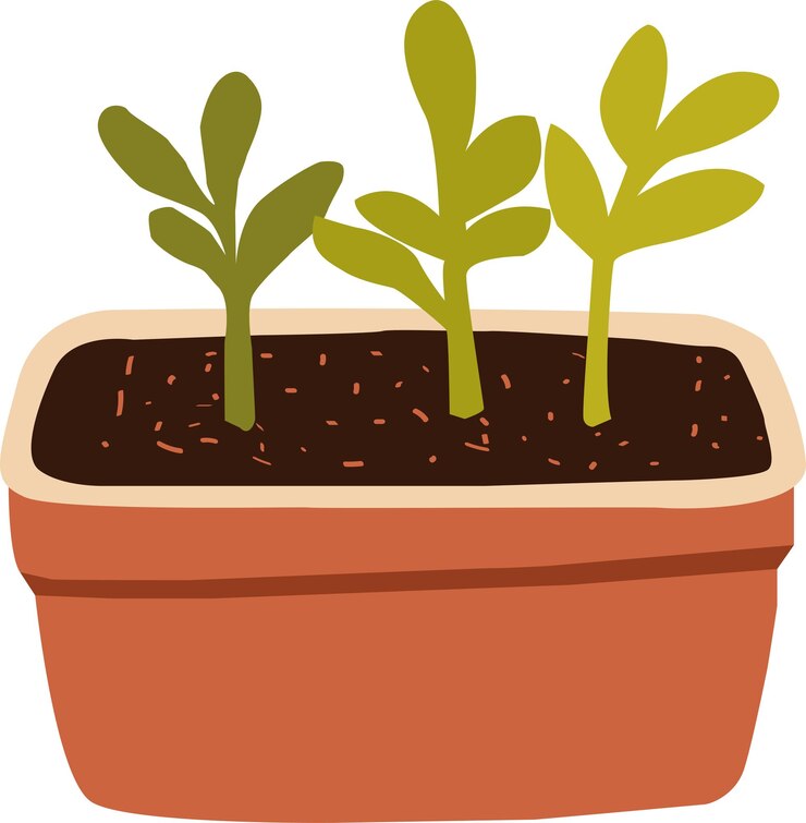 vector de las plantas