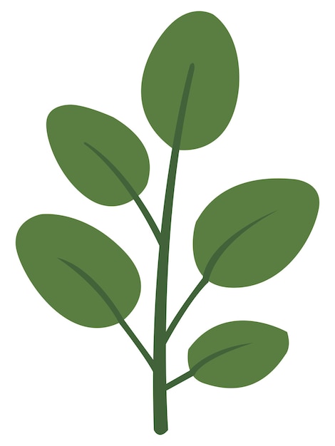vector de las plantas