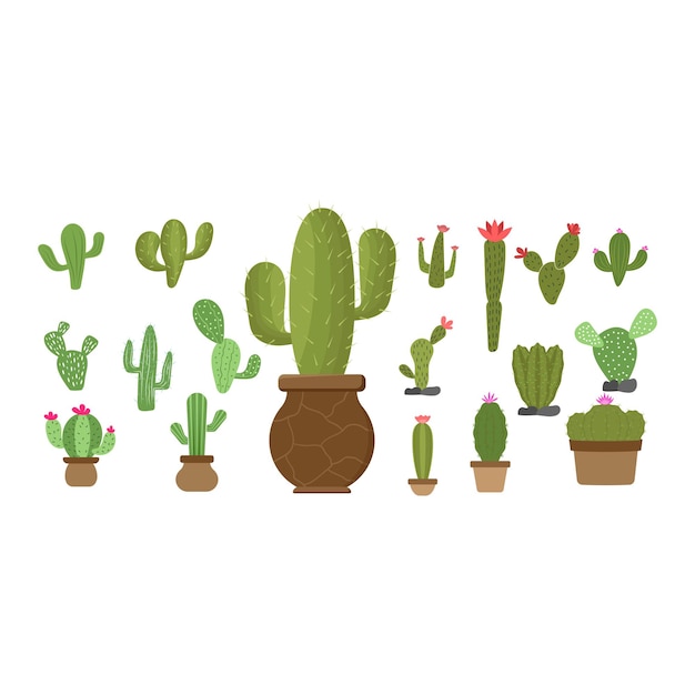 Vector de plantilla de diseño de icono de conjunto de cactus aislado