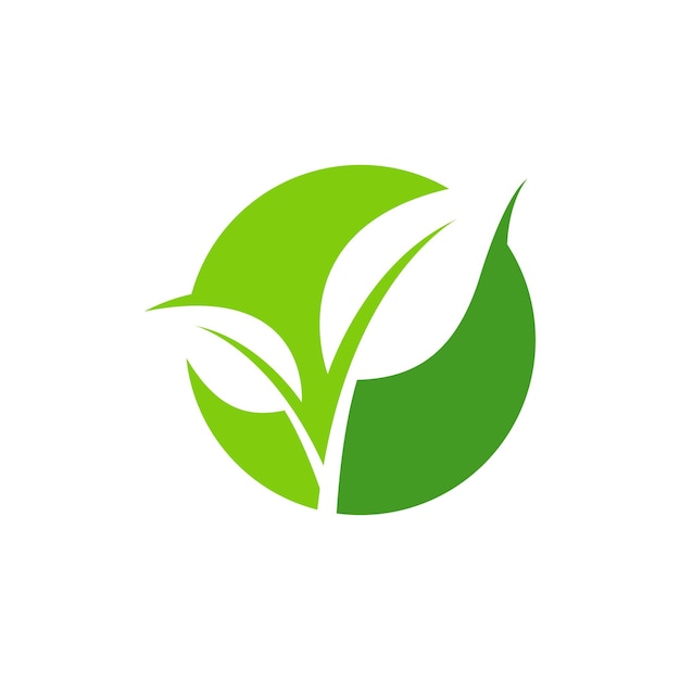 vector de plantilla de diseño de icono de logotipo de hoja