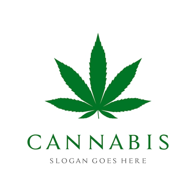vector de plantilla de diseño de logotipo de hoja de cannabis