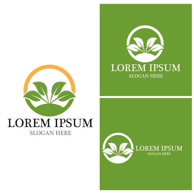 Vector de plantilla de icono y símbolo de hoja de naturaleza