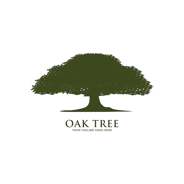 Vector de plantilla de logotipo de árbol de roble.