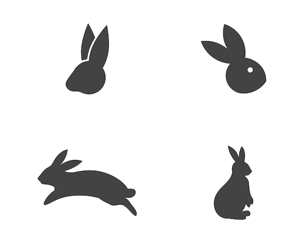 Vector de plantilla de logotipo de conejo