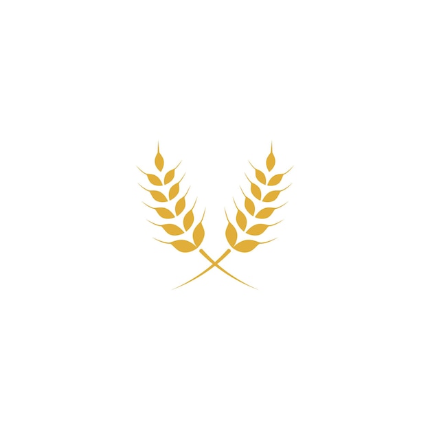 Vector de plantilla de logotipo de trigo de agricultura