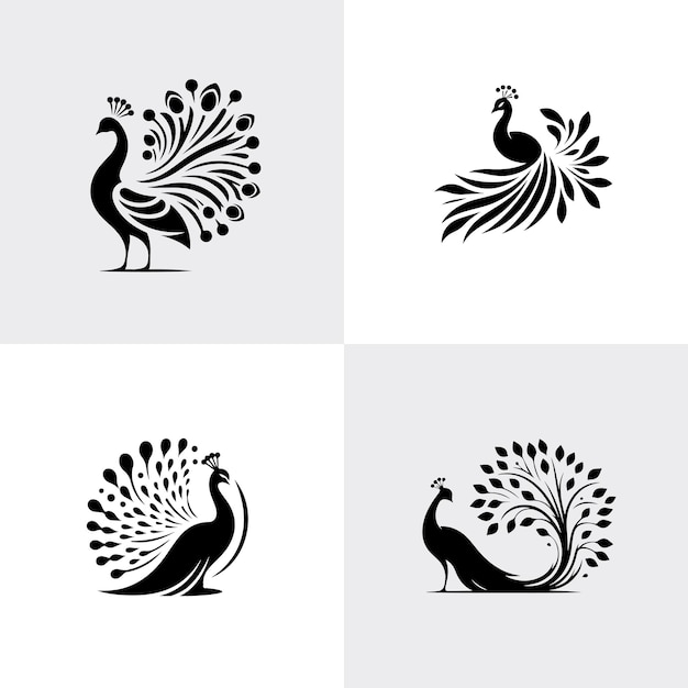 Vector de plantilla de pavo real