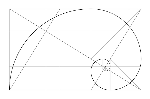 Vector vector plantilla de relación de oro espiral de oro proporción áurea matriz de fibonacci número de fibonacci divi ...