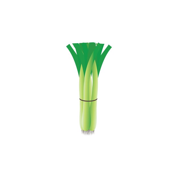 Vector de plantillas de íconos de verduras de porro