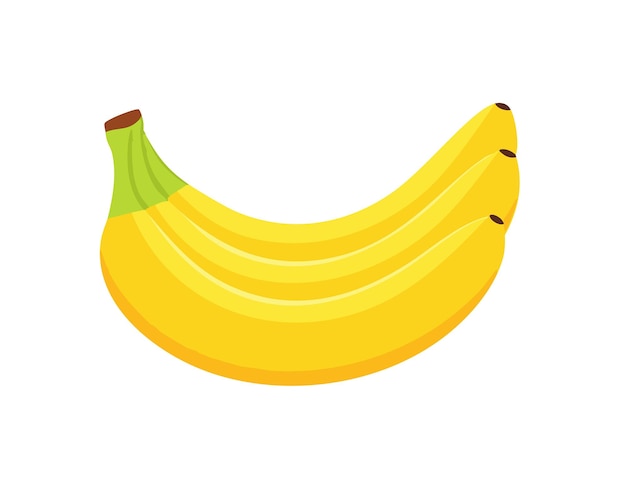 Vector de plátano fresco aislado en fondo blanco saludable de cerca