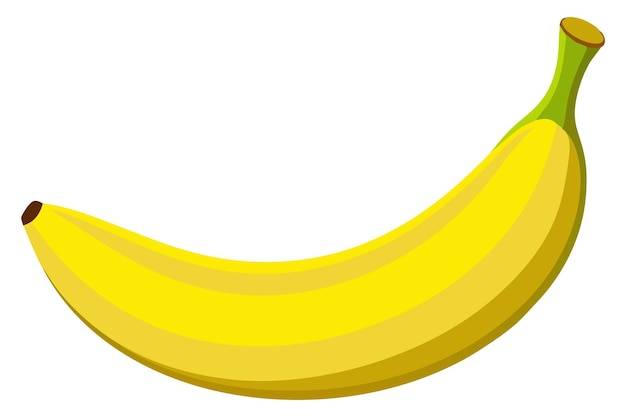 Vector de plátano y ilustración de color