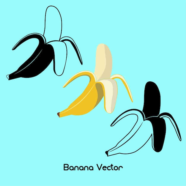 Vector vector de plátano