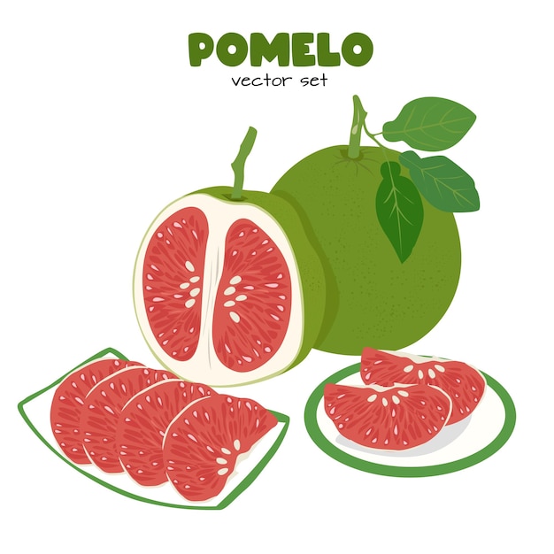 Vector de pomelo pomelo fruta de Shaddock con cáscara verde vector plano en estilo de dibujos animados aislado