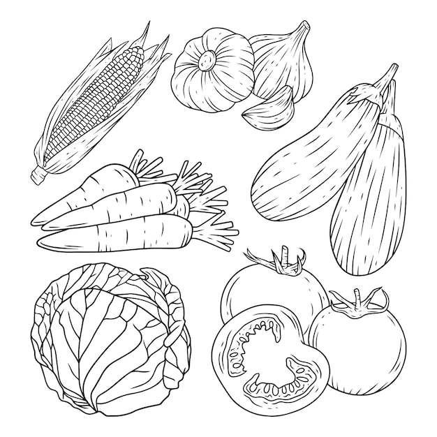 Vector premium de comida saludable de dibujo a mano