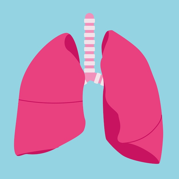 Un vector de un pulmón con una cubierta rosa sobre fondo azul.