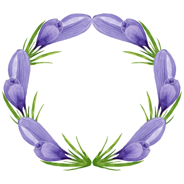 Vector púrpura coroa de crocus flores de primavera marco pintado a mano acuarela ilustración floral de Pascua