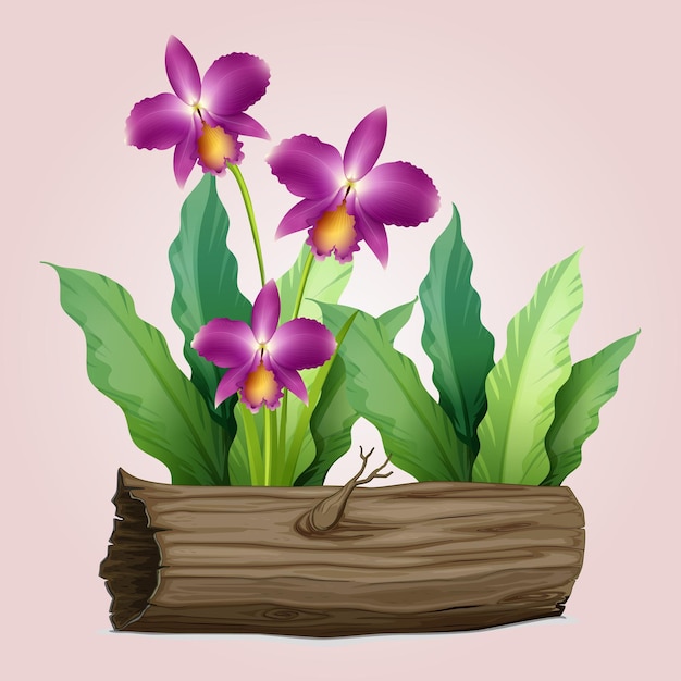 vector, púrpura, flores, en, el, árbol